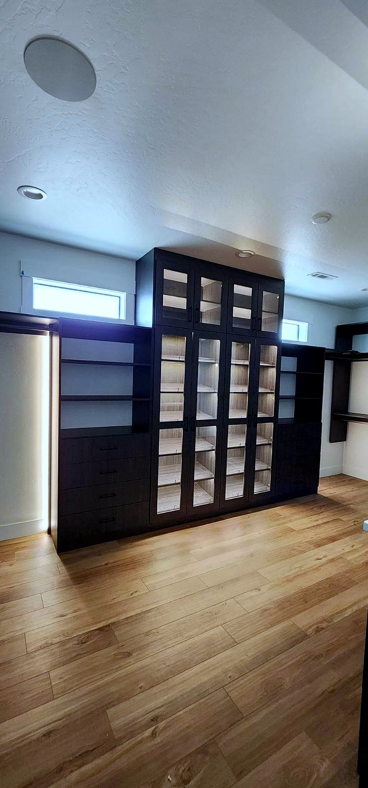 Custom black walk-in closet