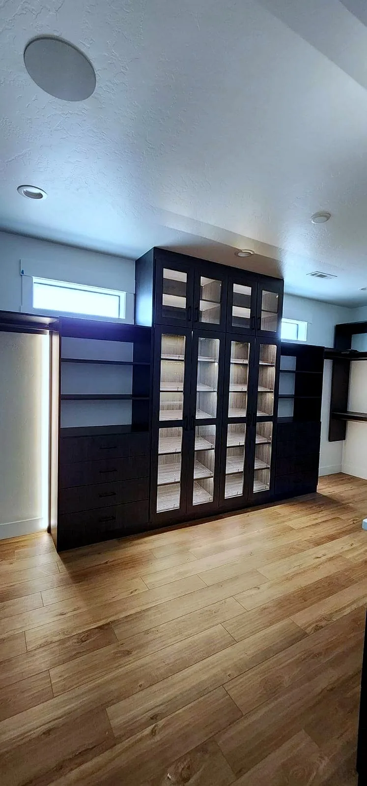 Custom black walk-in closet